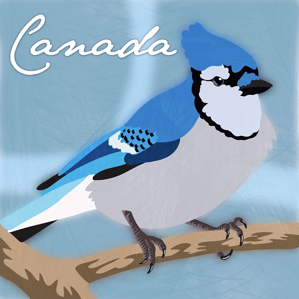 Canada Blue Jay art print by Marcus Prime for $57.95 CAD