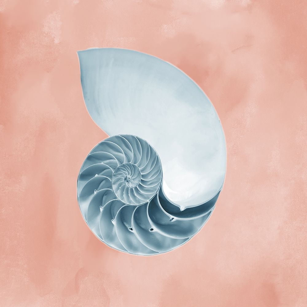 Miracles Of Delight 3 art print by Marcus Prime for $57.95 CAD