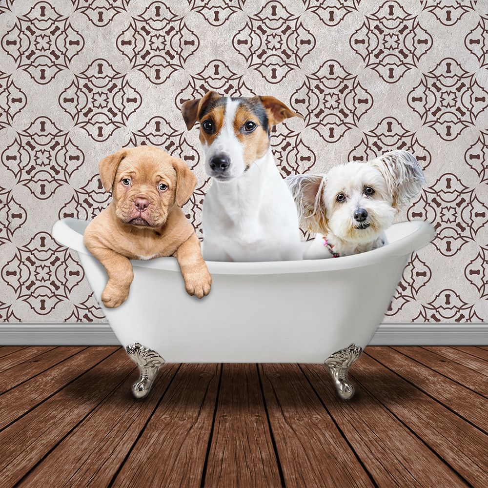 Bath Buddies 1 art print by Marcus Prime for $57.95 CAD