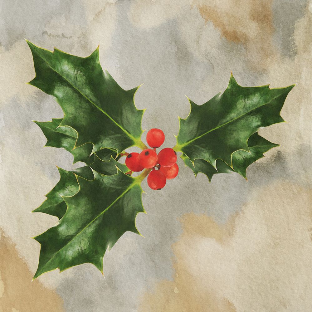 Christmas Holly art print by Marcus Prime for $57.95 CAD