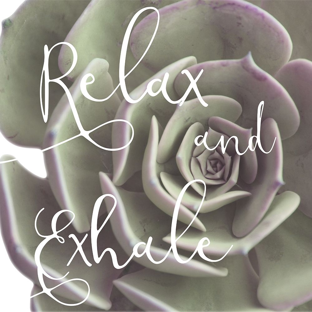 Exhaling Succulent 1 art print by Marcus Prime for $57.95 CAD