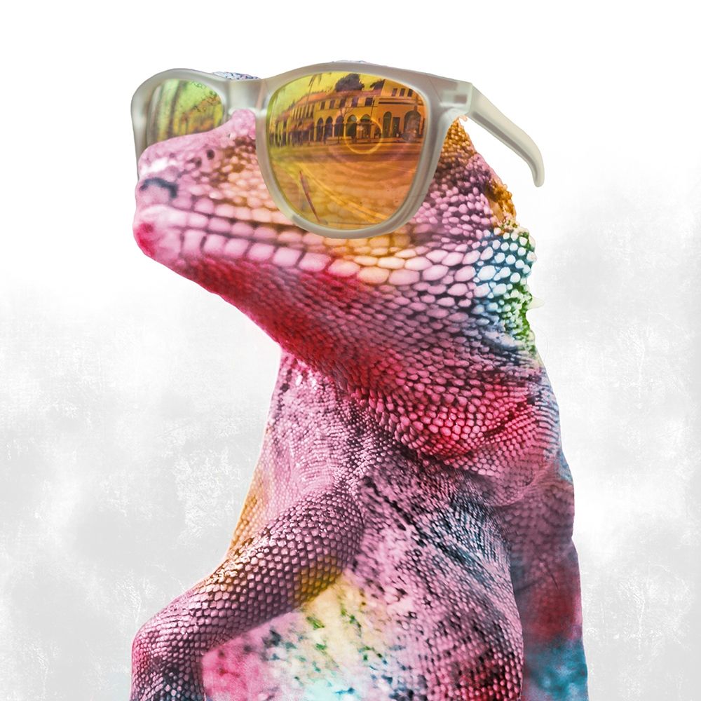 Cool Gecko 1 art print by Marcus Prime for $57.95 CAD