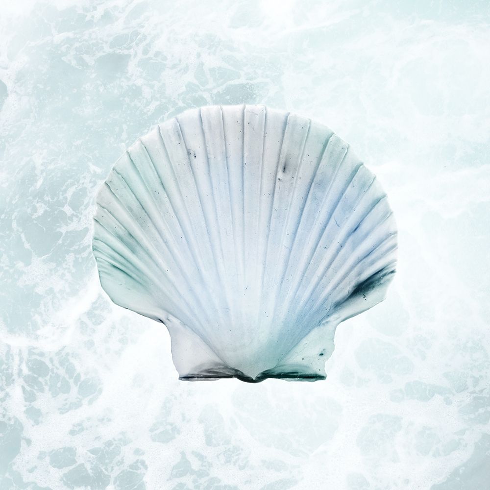 Seaside Infused Shell 1 art print by Marcus Prime for $57.95 CAD