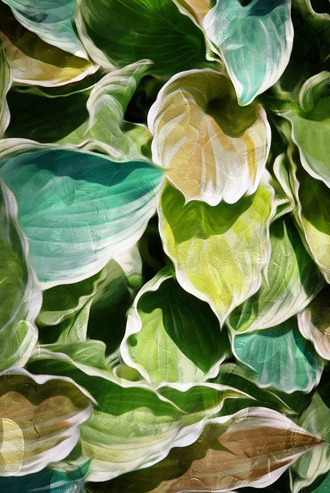MultiColor Leaves art print by Milli Villa for $57.95 CAD