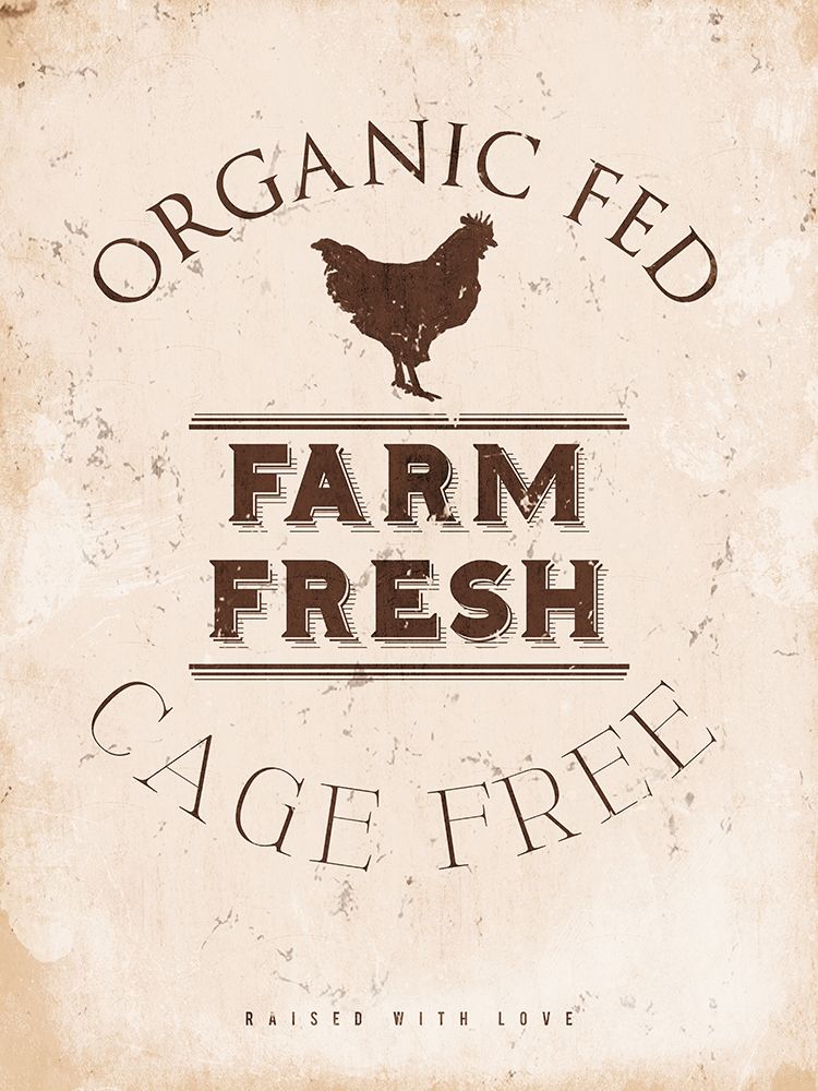 Farm Fresh Chicken art print by Milli Villa for $57.95 CAD