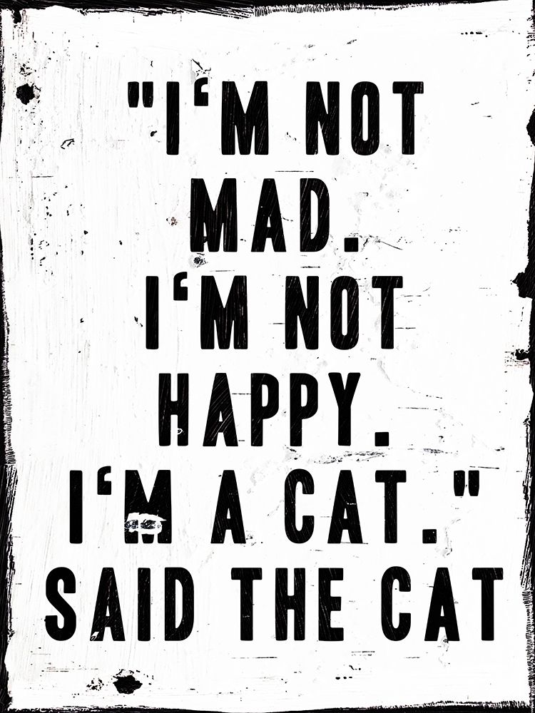 Said The Cat art print by Milli Villa for $57.95 CAD