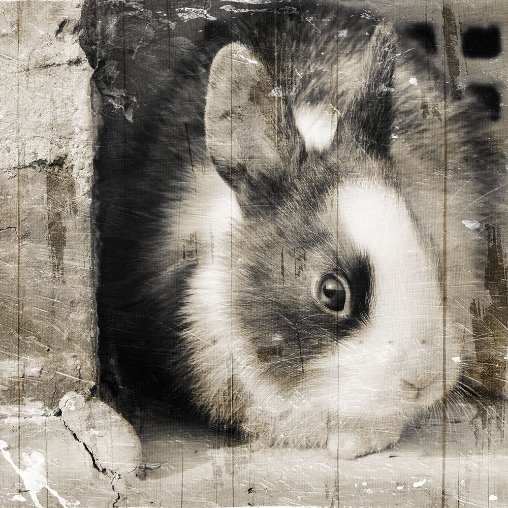 Bunny See Again art print by Milli Villa for $57.95 CAD