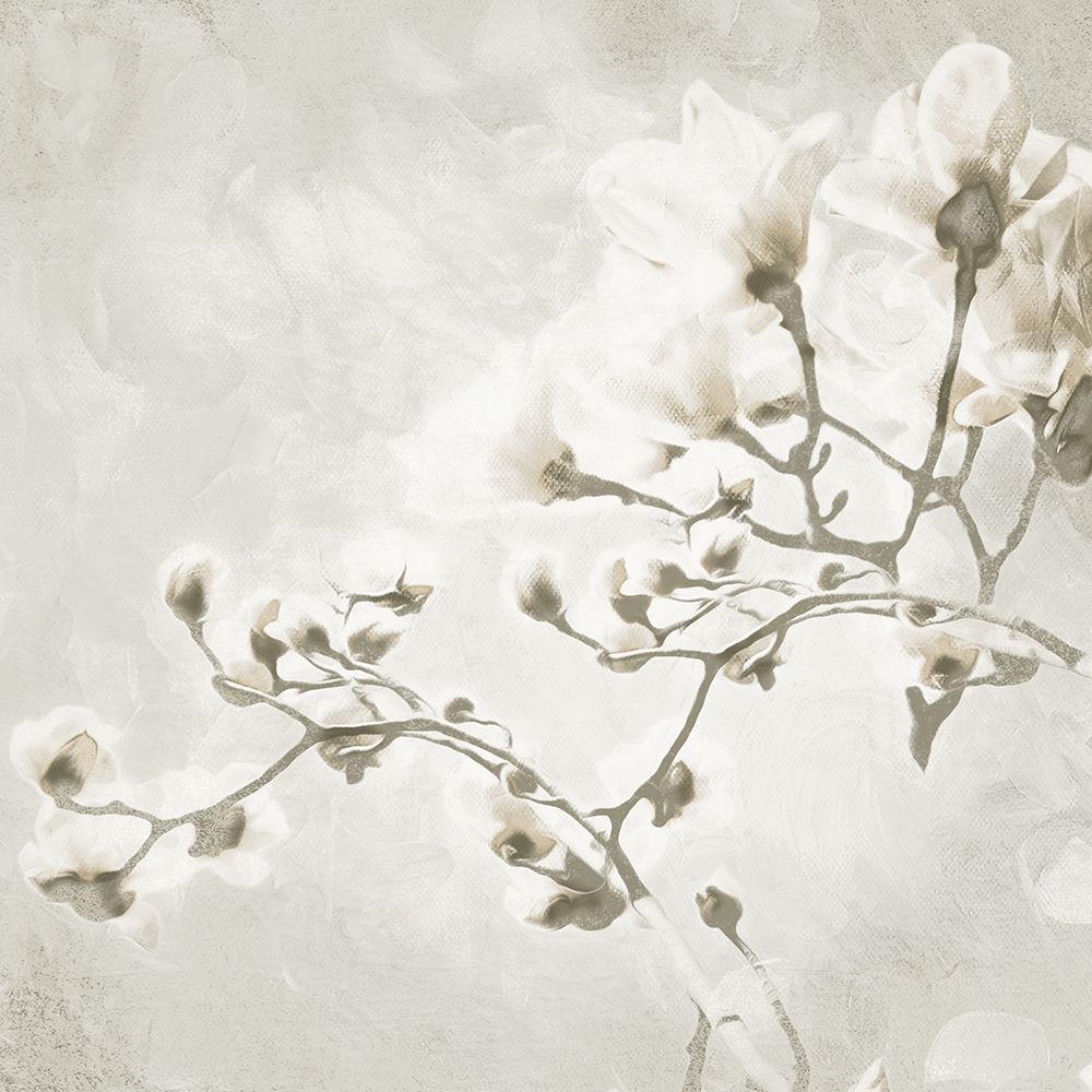 Cream Tree of White Flowers 1 art print by Milli Villa for $57.95 CAD