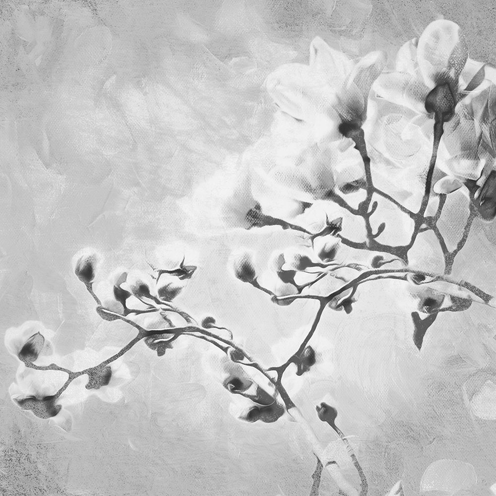 Tree of White Flowers BW 1 art print by Milli Villa for $57.95 CAD