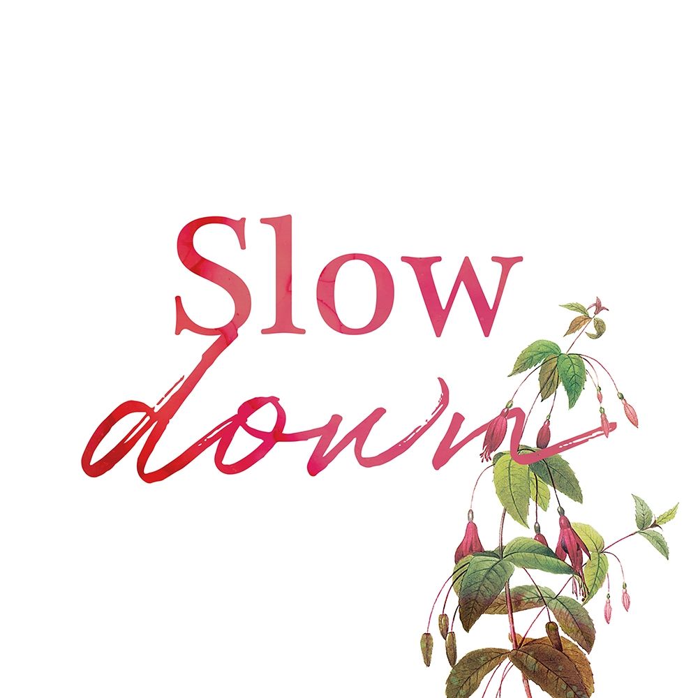 Slow Down art print by Milli Villa for $57.95 CAD