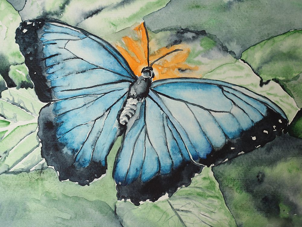 Morpho Butterfly art print by Nichole Lorenzen for $57.95 CAD