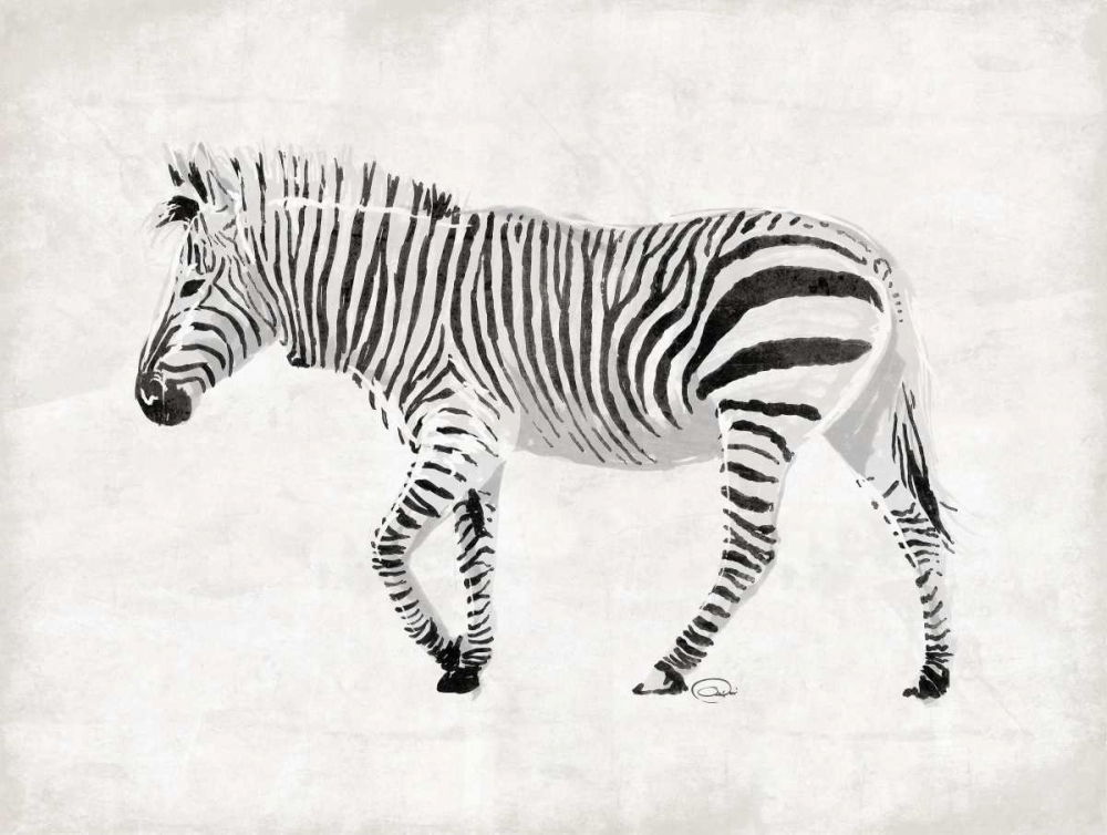 Zebra art print by OnRei for $57.95 CAD