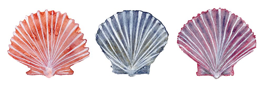 Peachy Scallops 3 art print by Patti Bishop for $57.95 CAD