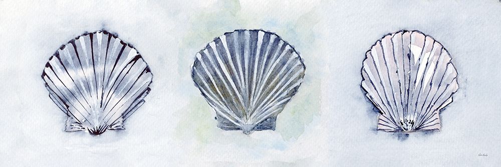Blue Scallops 3 art print by Patti Bishop for $57.95 CAD