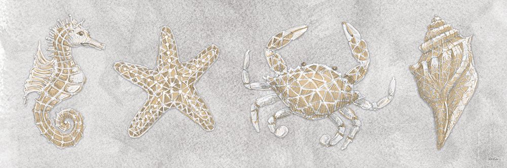 Drawing Seahorse Crab Star Shell art print by Patti Bishop for $57.95 CAD