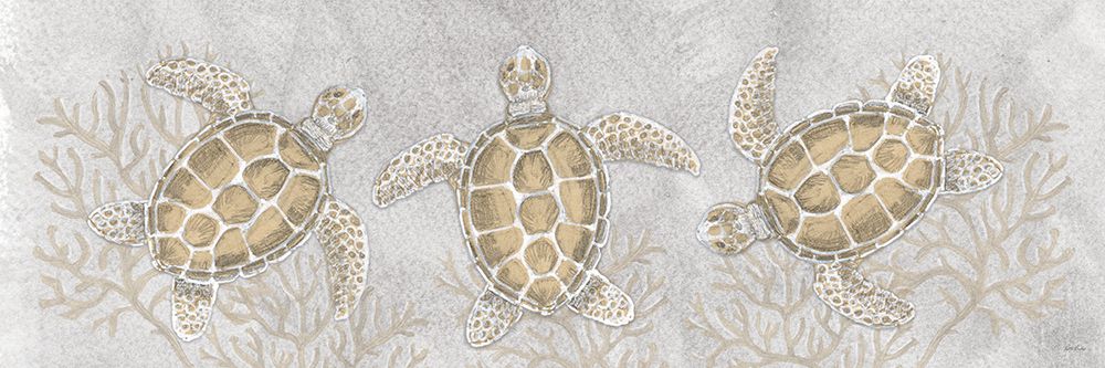 Drawing Turtles art print by Patti Bishop for $57.95 CAD