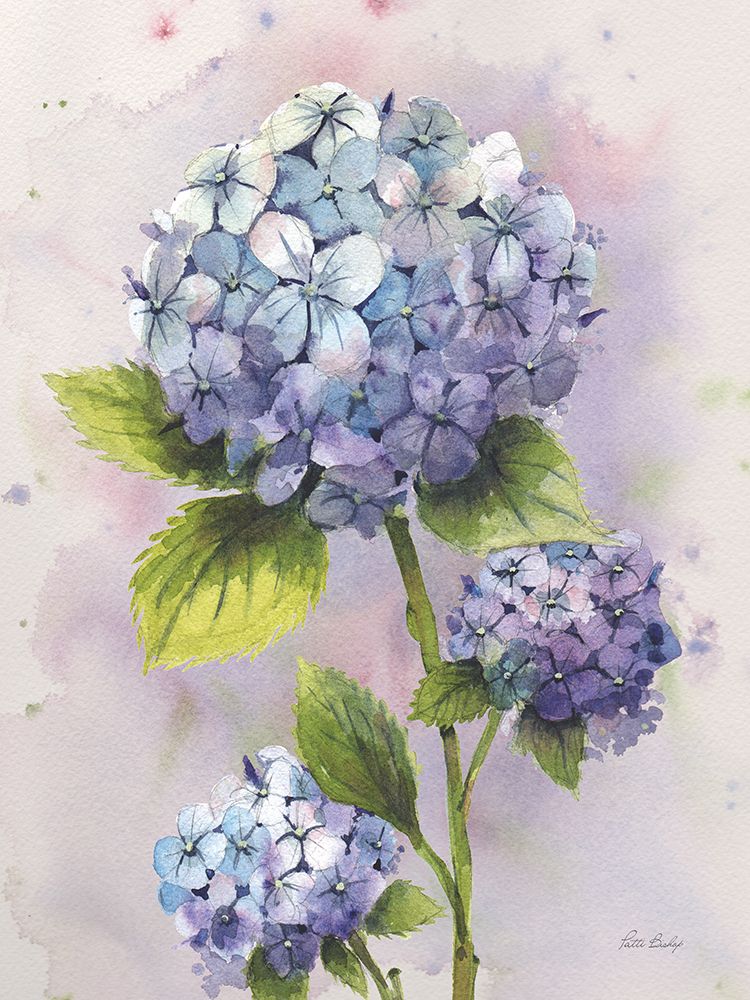Hydrangea Blue art print by Patti Bishop for $57.95 CAD