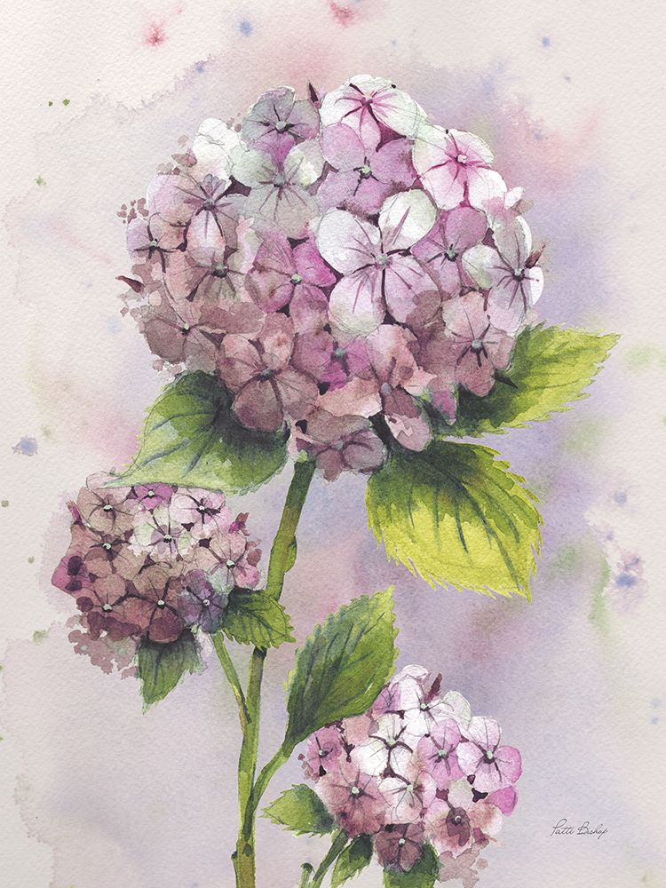 Hydrangea Pink art print by Patti Bishop for $57.95 CAD