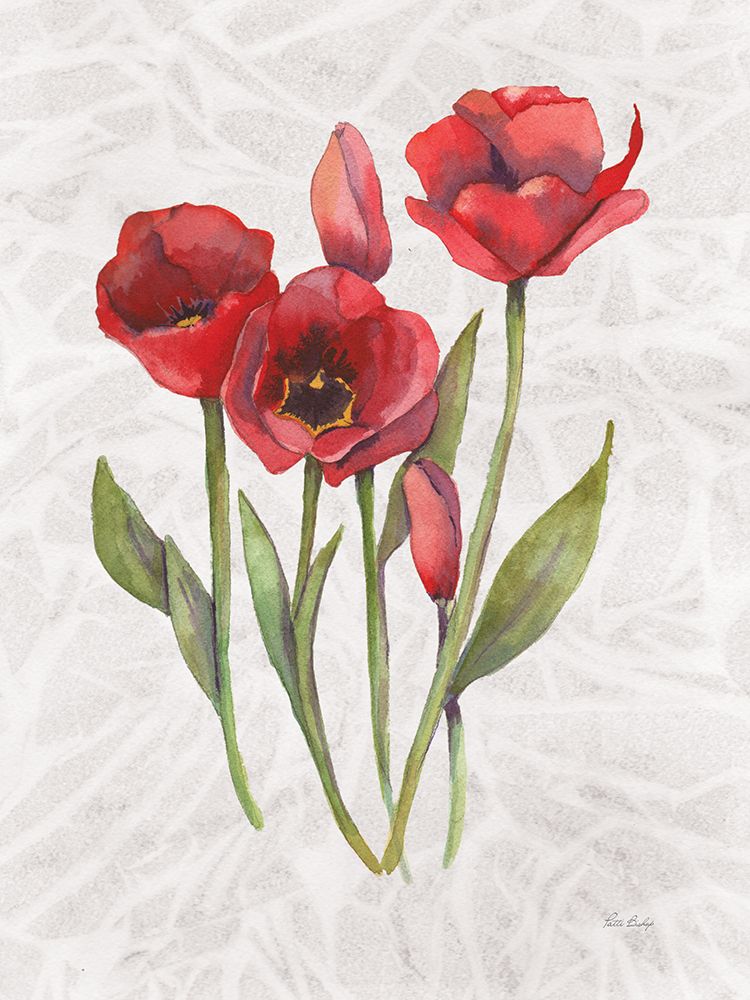 Red Tulip 1 art print by Patti Bishop for $57.95 CAD