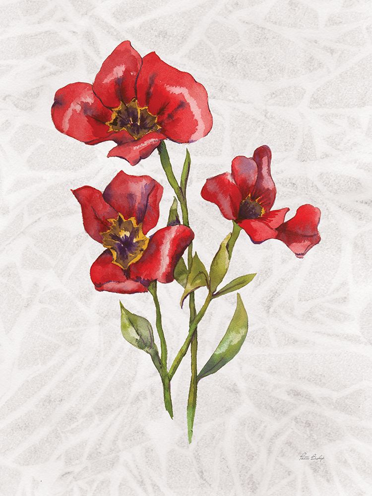 Red Tulip 2 art print by Patti Bishop for $57.95 CAD