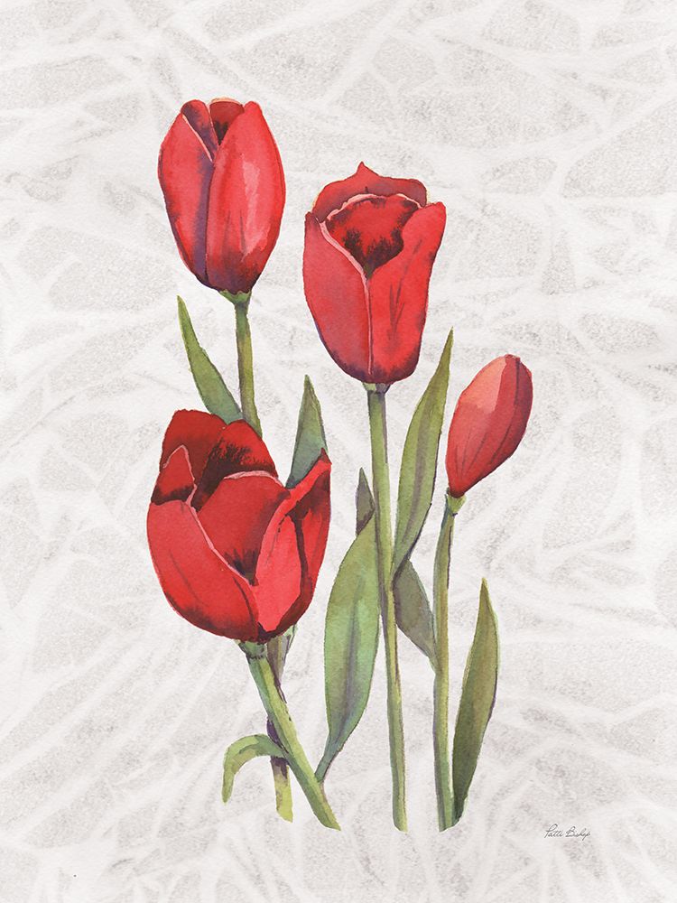 Red Tulip 3 art print by Patti Bishop for $57.95 CAD