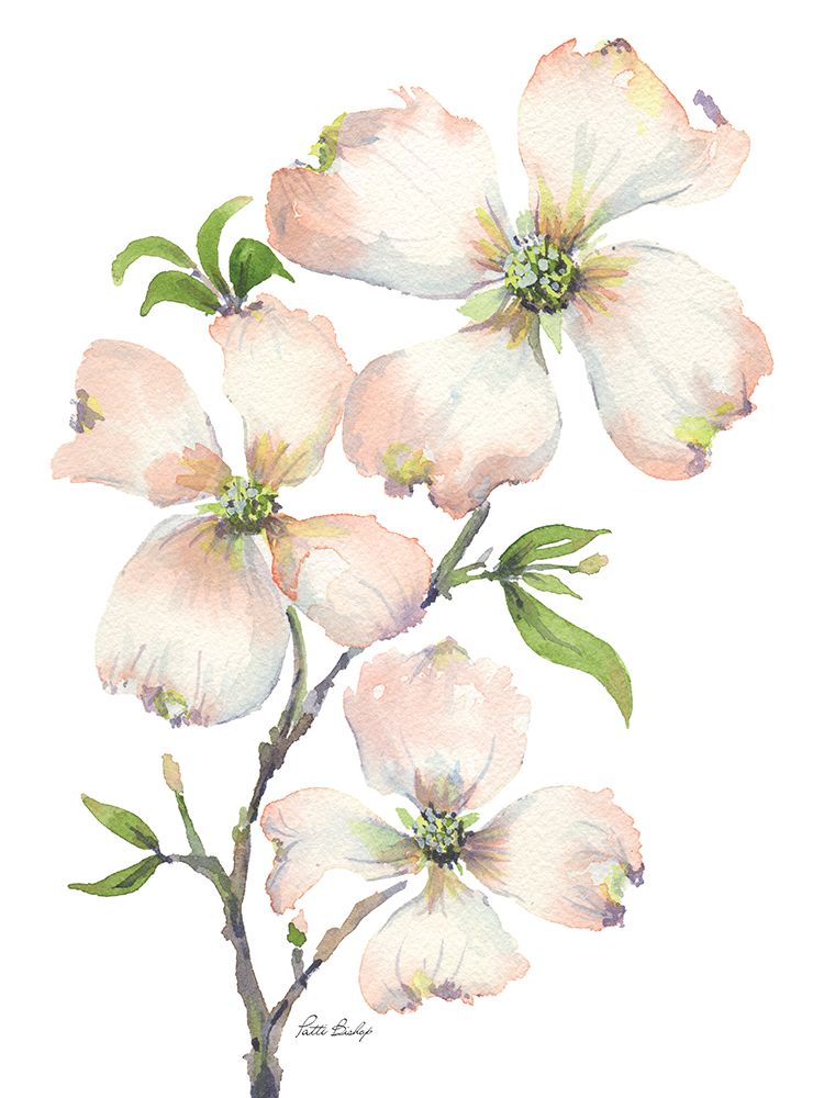 Dogwood Bunch art print by Patti Bishop for $57.95 CAD