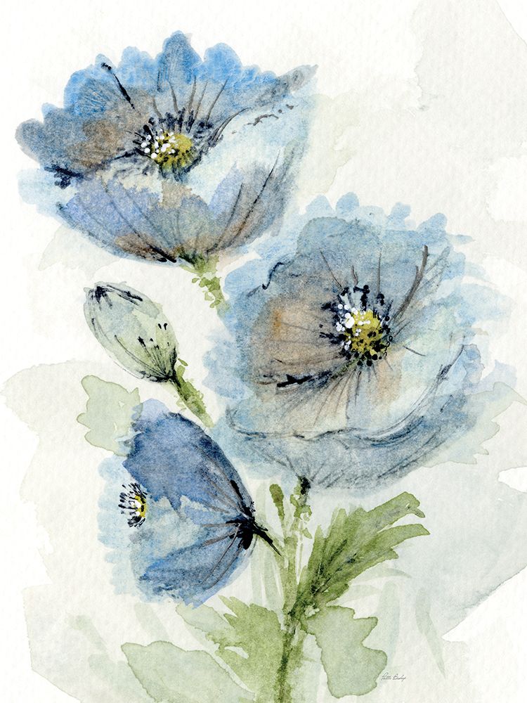 Blue Poppy 2 art print by Patti Bishop for $57.95 CAD