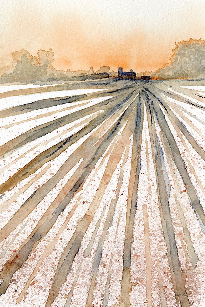Field Farm Sunset art print by Patti Bishop for $57.95 CAD