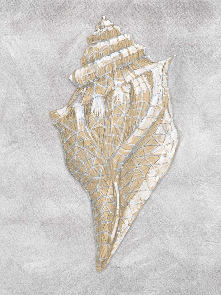 Drawing Conch Grey art print by Patti Bishop for $57.95 CAD