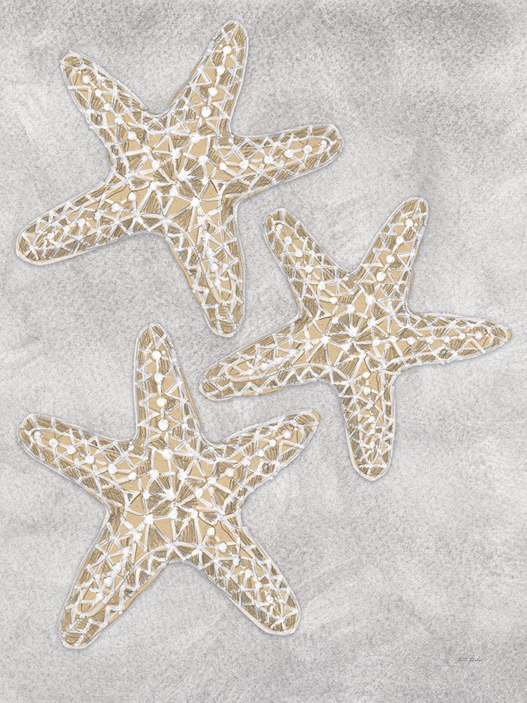 Drawing Starfish Grey art print by Patti Bishop for $57.95 CAD