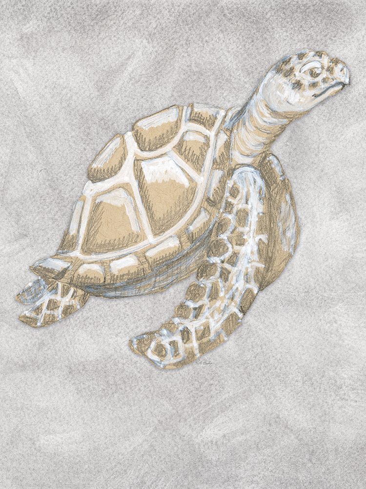 Drawing Turtle Side Grey art print by Patti Bishop for $57.95 CAD