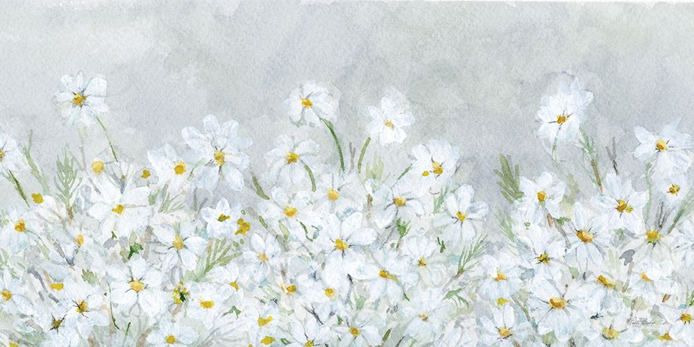 Daisies art print by Patti Bishop for $57.95 CAD