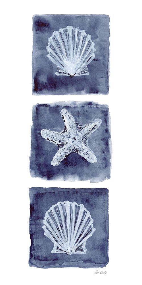 Shells Star Indigo art print by Patti Bishop for $57.95 CAD