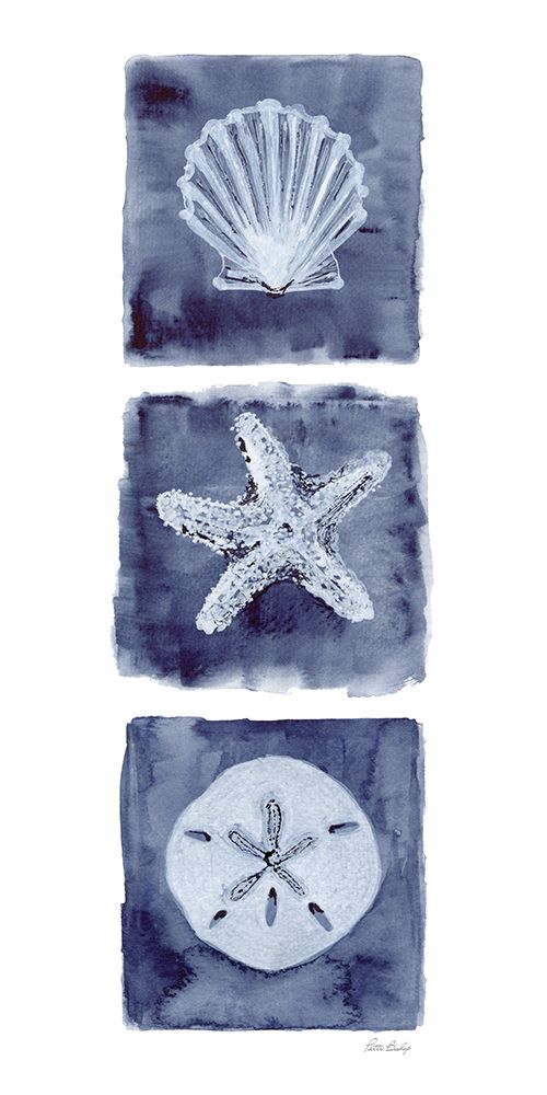 Shells Star Dollar Indigo art print by Patti Bishop for $57.95 CAD