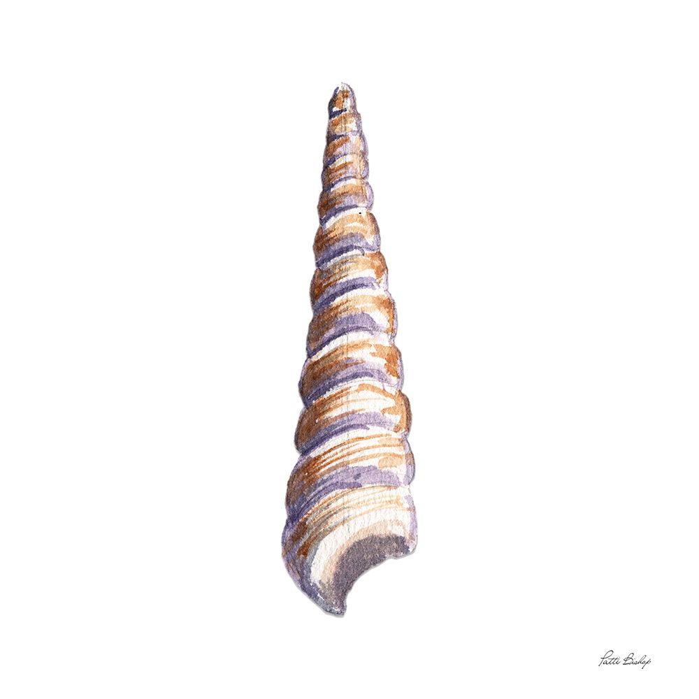 Tan Shell Flame art print by Patti Bishop for $57.95 CAD