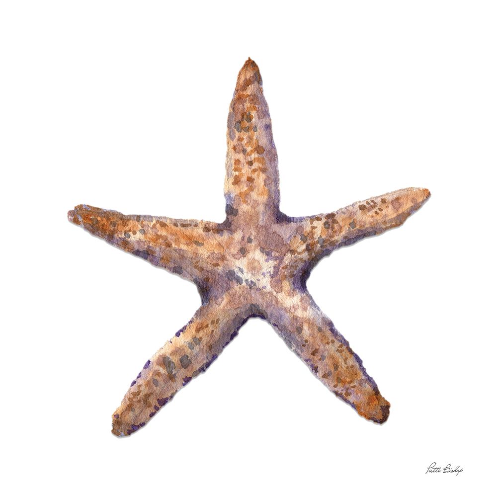 Tan Shell Starfish art print by Patti Bishop for $57.95 CAD