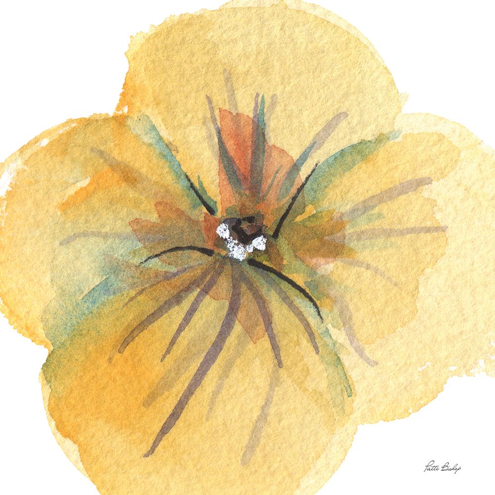 Pansie Yellow art print by Patti Bishop for $57.95 CAD