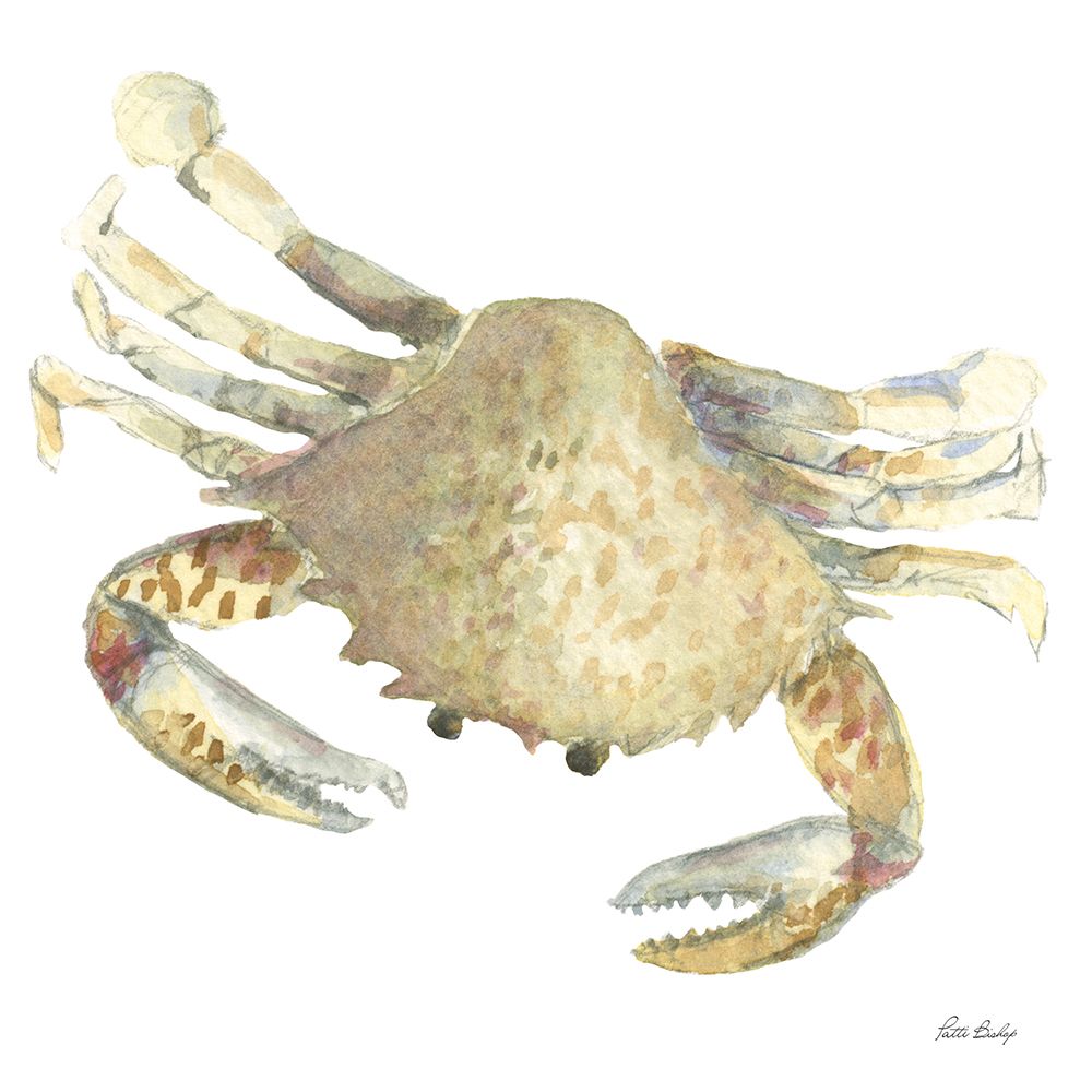 Tan Crab art print by Patti Bishop for $57.95 CAD