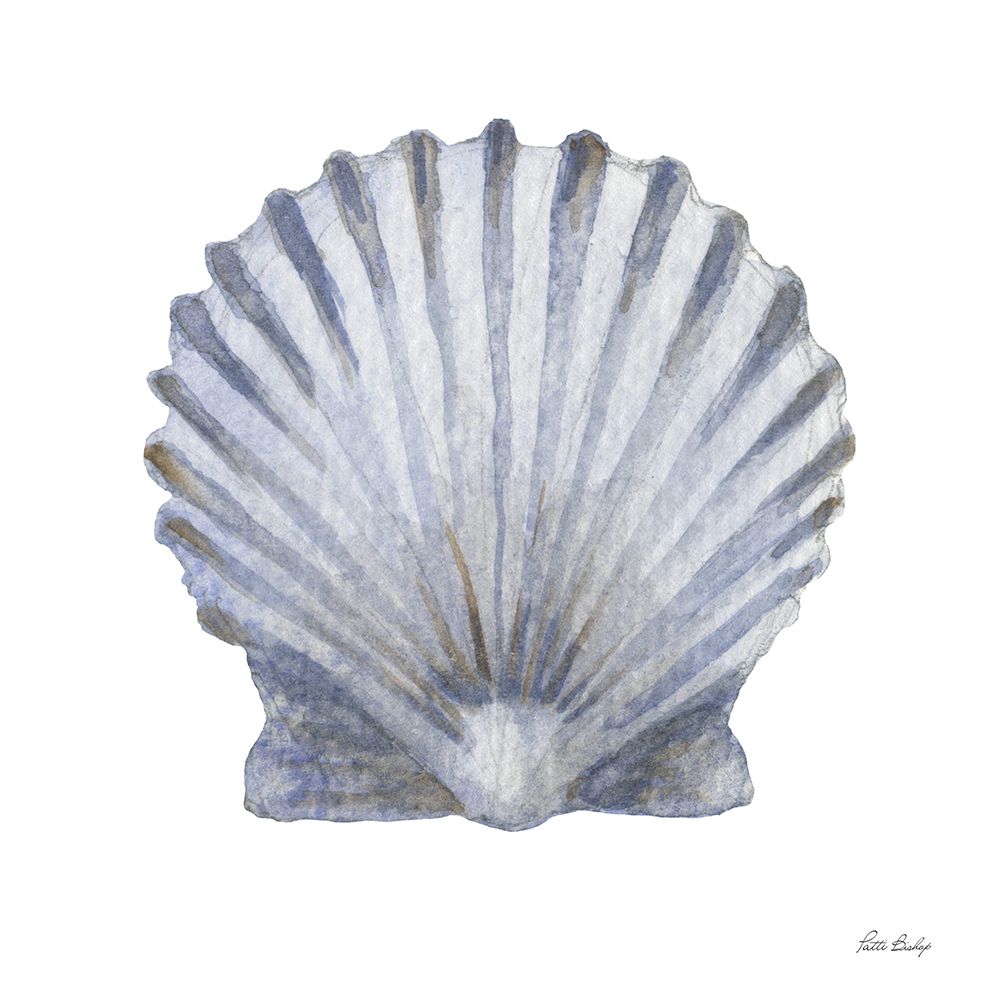 Blue Scallop art print by Patti Bishop for $57.95 CAD