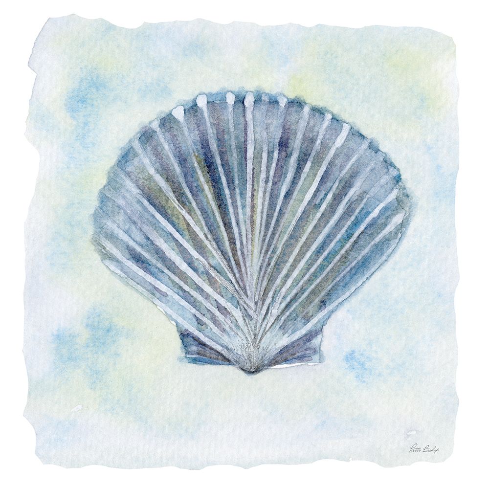 Blue Scallop 1 art print by Patti Bishop for $57.95 CAD