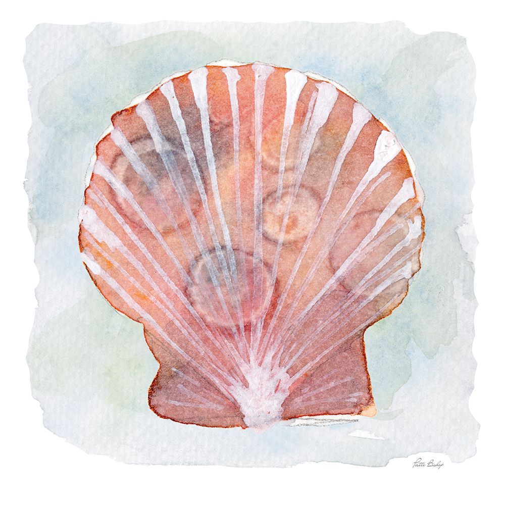Peach White Scallop 1 art print by Patti Bishop for $57.95 CAD
