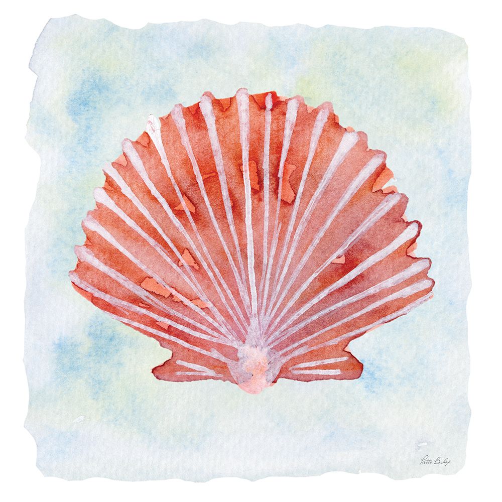 Peach Scallop 1 art print by Patti Bishop for $57.95 CAD