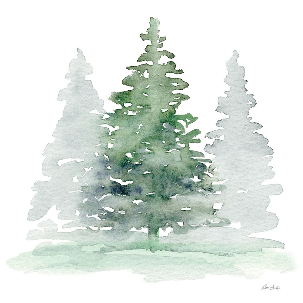 Pine Trio art print by Patti Bishop for $57.95 CAD
