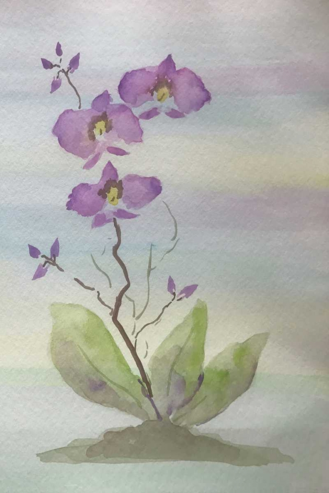 Orchid Duo 1 art print by Debbie Pearson for $57.95 CAD