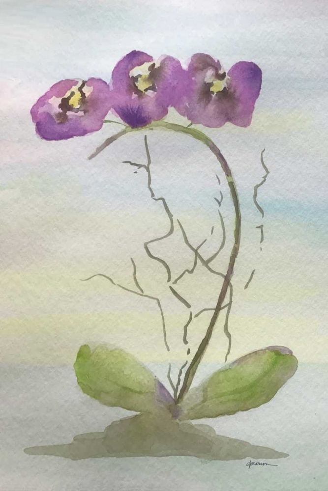Orchid Duo 2 art print by Debbie Pearson for $57.95 CAD