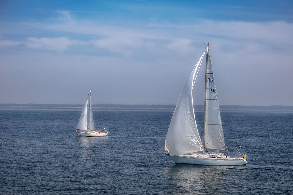 Sail Boats art print by Pat DeLuca for $57.95 CAD