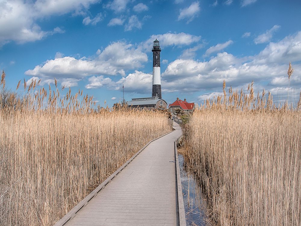 Lighthouse Path art print by Pat DeLuca for $57.95 CAD