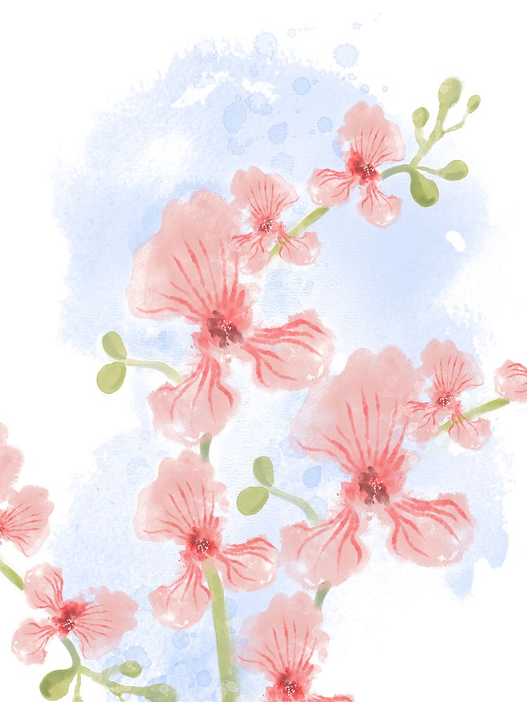 Abstract Floral Pastel Orchids art print by Matthew Piotrowicz for $57.95 CAD