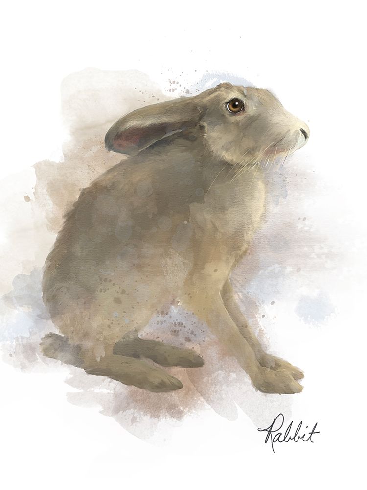 Animal Woodland Rabbit art print by Matthew Piotrowicz for $57.95 CAD