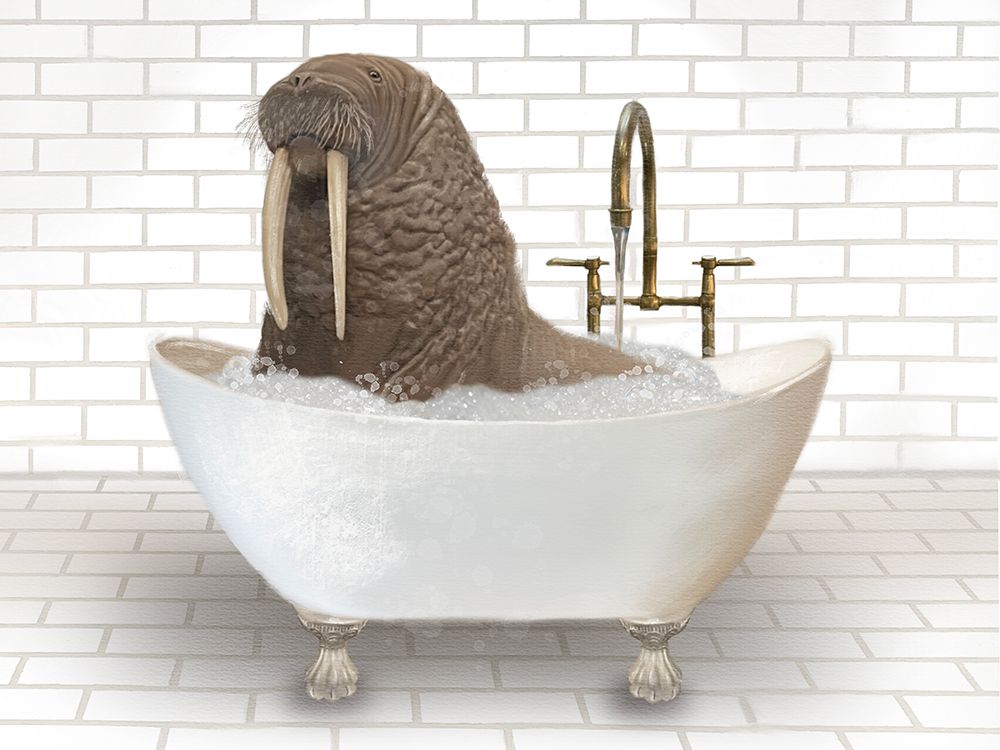 Walrus In Bathtub art print by Matthew Piotrowicz for $57.95 CAD